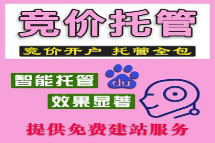 案例分析：SEM竞价如何助力企业增长